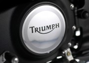 Triumph America